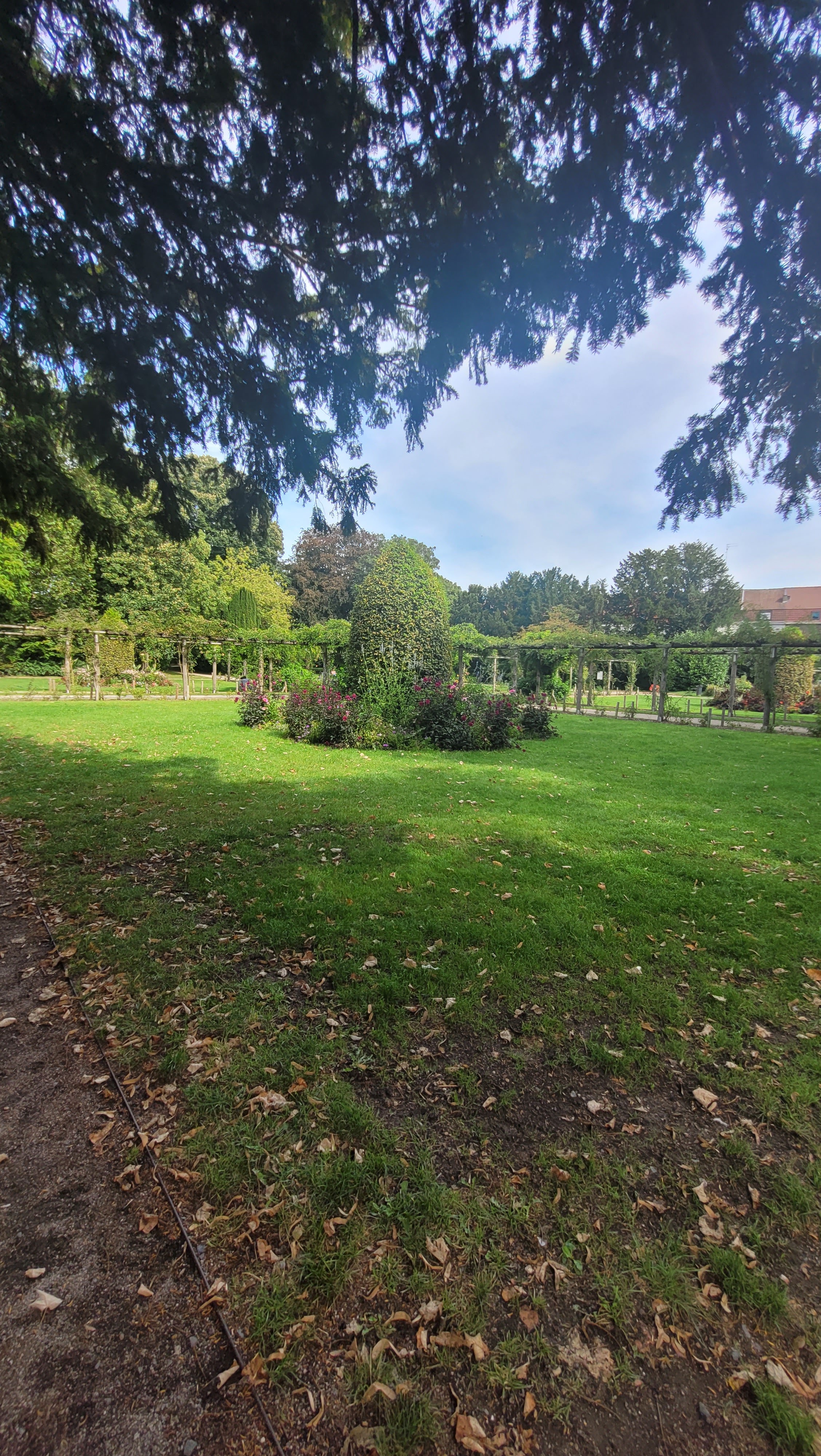Photo n° 1 de l'avis de aude.a fait le 04/09/2023 à 12:14