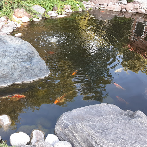 Wedding Venue «Romantic Moon Events Center», reviews and photos, 158 80th Street South, Glyndon, MN 56547, USA