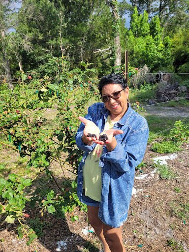 Winery «Masaryk Winery», reviews and photos, 19125 Phillips Rd, Masaryktown, FL 34604, USA