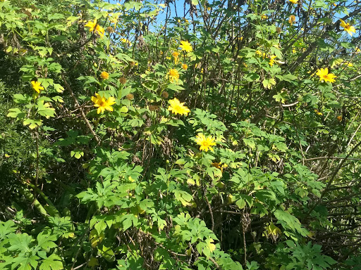 Community Center «Max K. Rodes Community Center», reviews and photos, 3410 Flanagan Ave, West Melbourne, FL 32904, USA