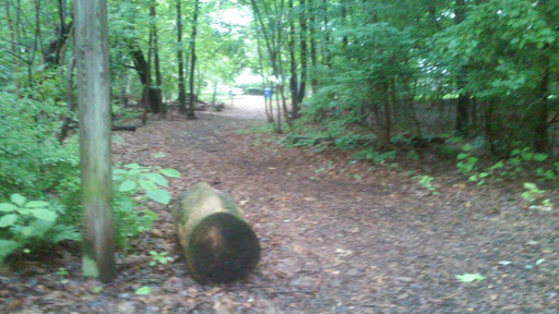 Nature Preserve «Dolan Pond Conservation Area», reviews and photos, Webster Park, West Newton, MA 02465, USA