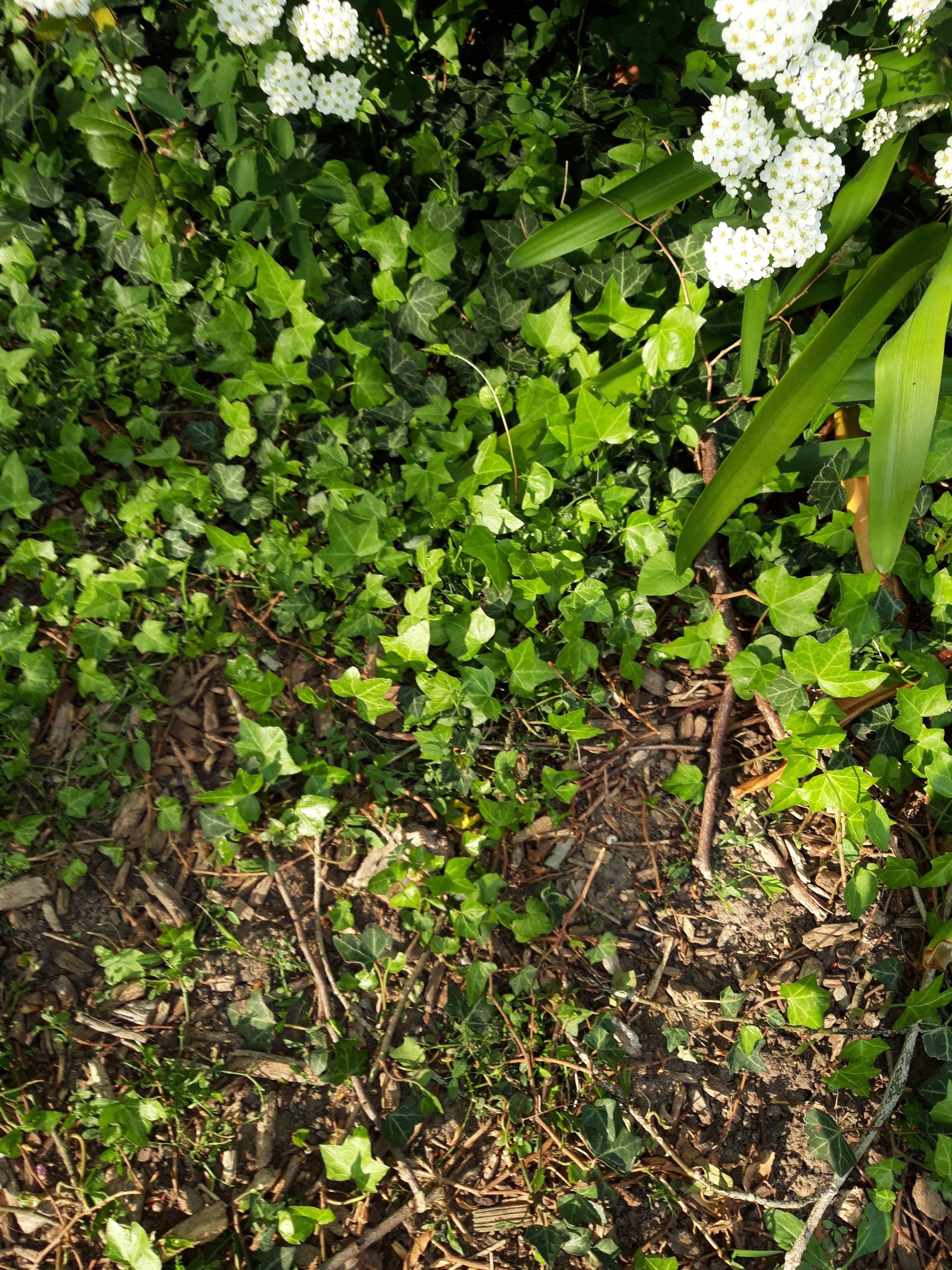 Photo n° 18 de l'avis de Lucinda.l fait le 16/04/2019 à 08:10