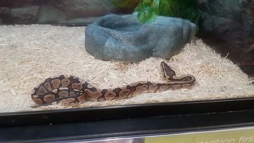 Pet Supply Store «Petco Animal Supplies», reviews and photos, 1605 Beltline Rd SW, Decatur, AL 35601, USA