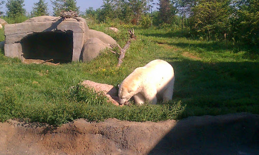 Golf Club «Safari Golf Club», reviews and photos, 4850 W Powell Rd, Powell, OH 43065, USA