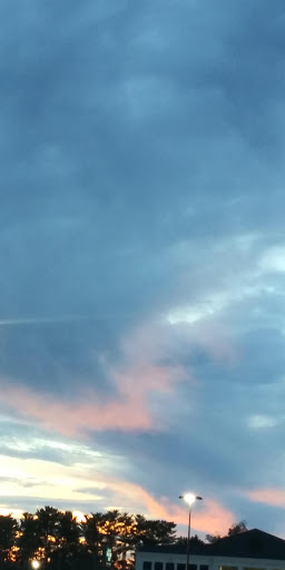 Grocery Store «BI-LO», reviews and photos, 148 Walnut Ln, Travelers Rest, SC 29690, USA