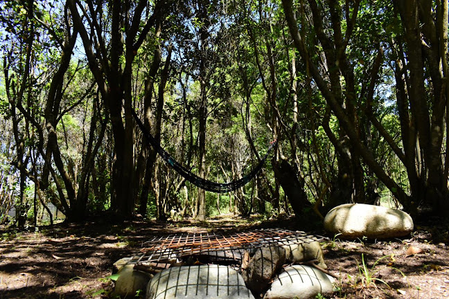 Opiniones de Camping y Centro Recreacional Quetroleufu en Pucón - Camping