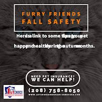 1st Choice Insurance Brokers, LLC - Photo 2 - Car repair in Coeur d'Alene, ID, Coeur d'Alene