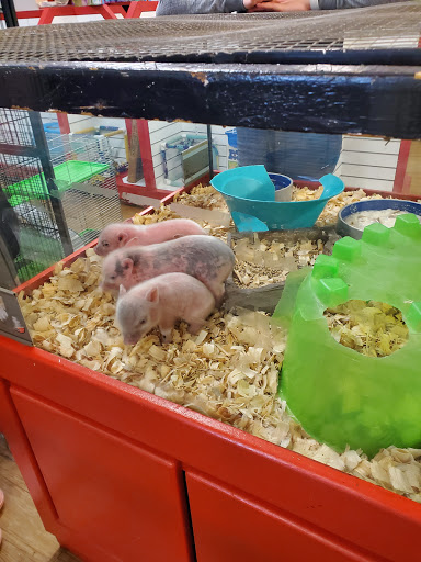 Pet Store «S & S Exotic Animals Inc», reviews and photos, 1711 Connorvale Rd, Houston, TX 77039, USA