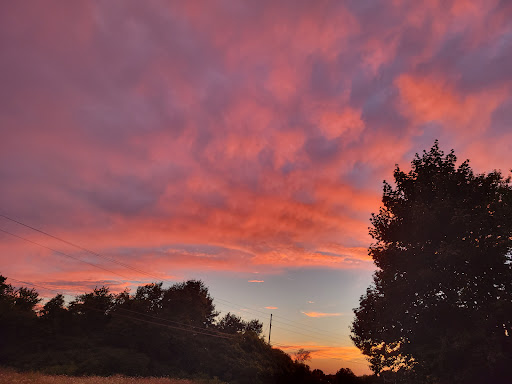 Supermarket «TOPS Friendly Markets», reviews and photos, 408 West Ave, Albion, NY 14411, USA