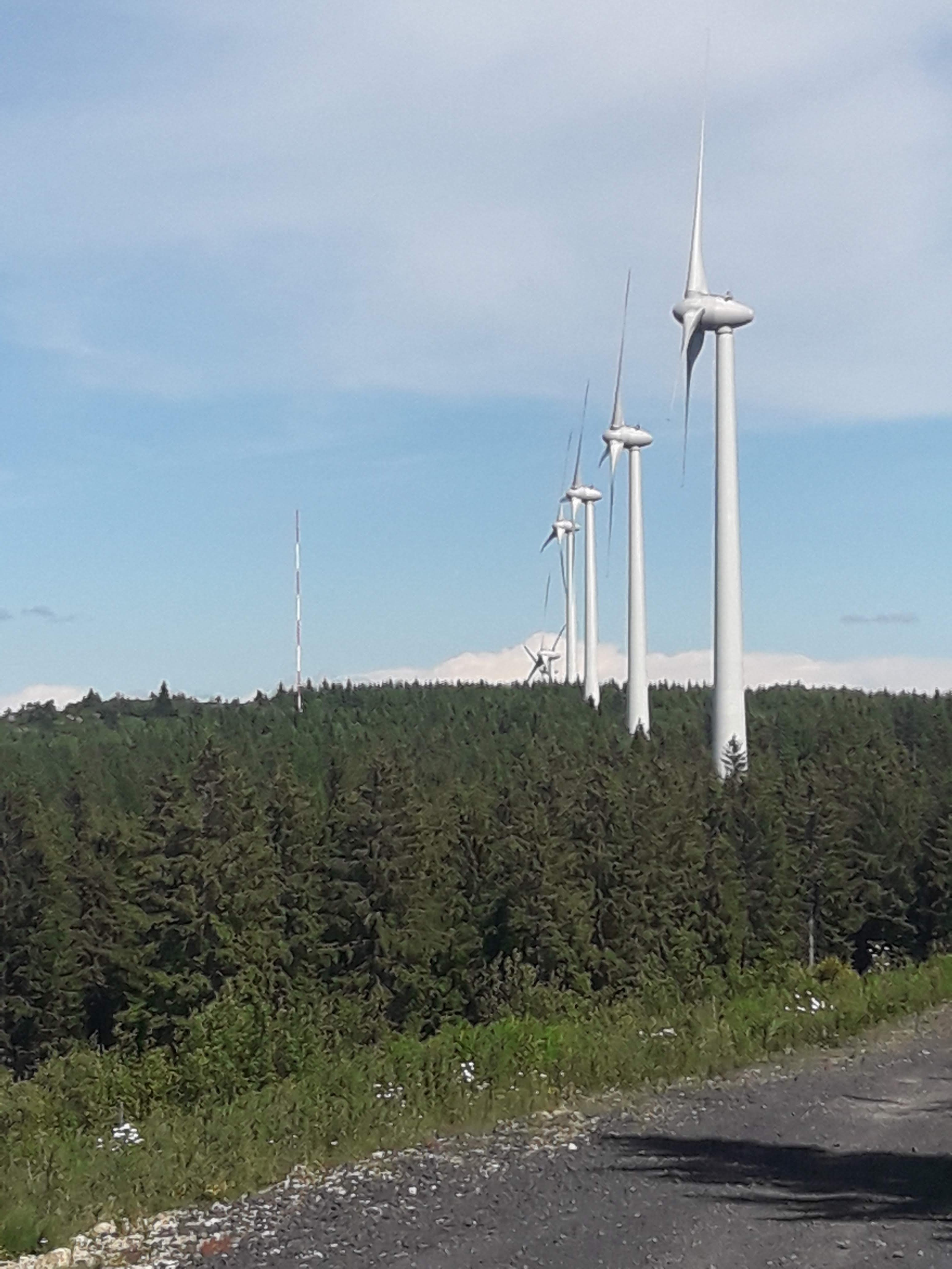 Photo n° 40 de l'avis de Stefe. fait le 27/06/2018 à 14:23