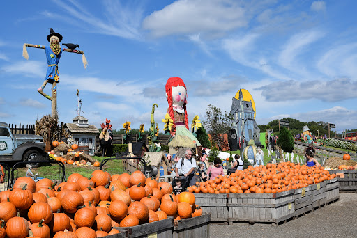 Produce Market «Linvilla Orchards», reviews and photos, 137 Knowlton Rd, Media, PA 19063, USA