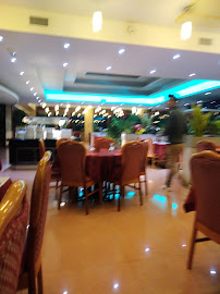 Atmosphère du Restaurant chinois Royal de Fontenay à Fontenay-Trésigny - n°12