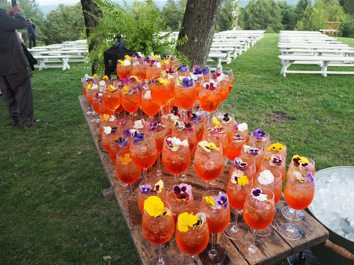 Event Venue «Cedar Lakes Estate», reviews and photos, 1 Team Usa Way, Port Jervis, NY 12771, USA