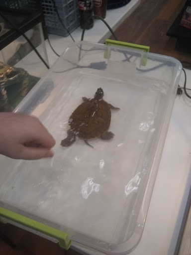 Pet Store «Pet Valu», reviews and photos, 1091 Mill Creek Rd #5a, Allentown, PA 18106, USA