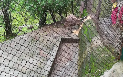 Ostrich Enclosure image