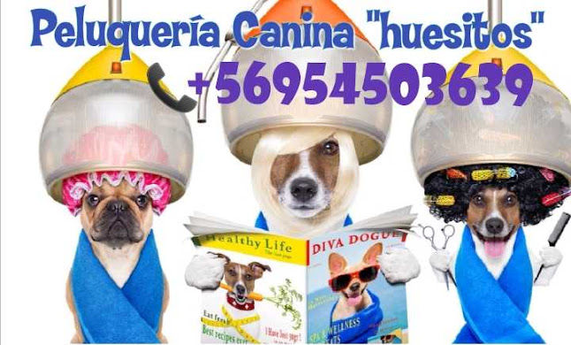 Peluquería Canina huesitos - Quilicura