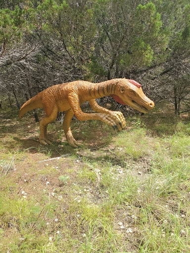 Museum «Dinosaur World», reviews and photos, 1058 Park Rd 59, Glen Rose, TX 76043, USA