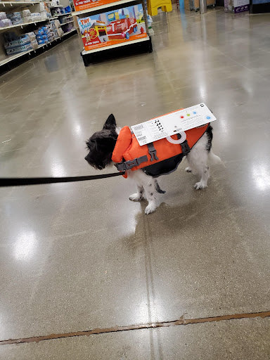 Pet Supply Store «PetSmart», reviews and photos, 1060 Hansel Ave, Florence, KY 41042, USA