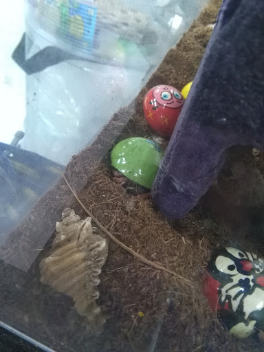 Pet Store «Fish Bowl», reviews and photos, 2117 E Race Ave, Searcy, AR 72143, USA