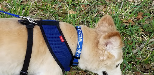 Park «John S. Taylor Park», reviews and photos, 1100 8th Ave SW, Largo, FL 33770, USA