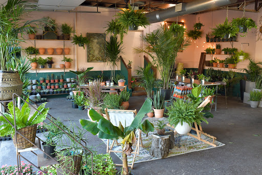 Oasis Plant Shop