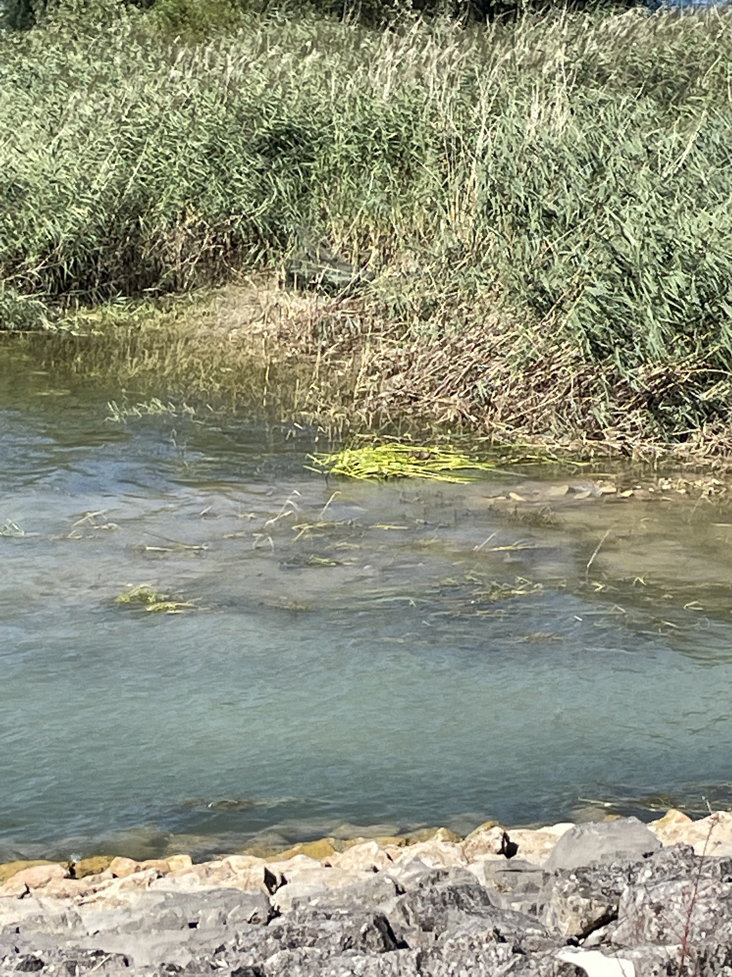 Photo n° 3 de l'avis de Pierrot.a fait le 09/08/2022 à 17:06