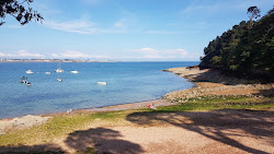 Belcroute Bay'in fotoğrafı çok temiz temizlik seviyesi ile