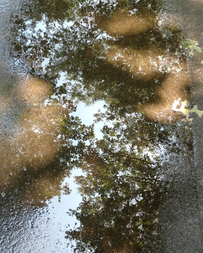 Nature Preserve «Eliason Nature Reserve», reviews and photos, 9501 Shaver Rd, Portage, MI 49024, USA