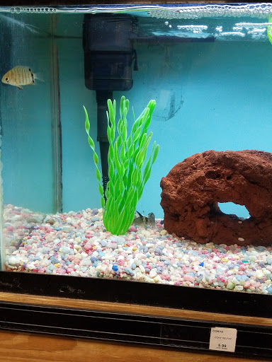 Garden Center «A W Brown Pet & Garden», reviews and photos, 144 Shaker Rd, East Longmeadow, MA 01028, USA