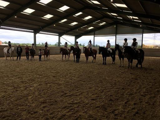 New Pasture Stables