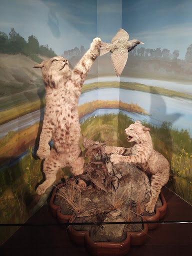 Nature Preserve «Peter and Mary Muth Interpretive Center», reviews and photos, 2301 University Dr, Newport Beach, CA 92660, USA