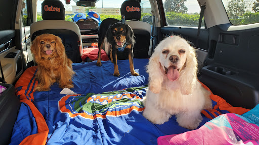 Pet Supply Store «PetSmart», reviews and photos, 601 Centerview Blvd, Kissimmee, FL 34741, USA