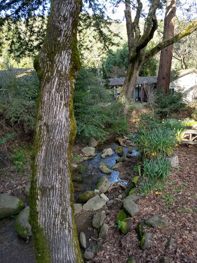 Winery «Chouinard Vineyards & Winery», reviews and photos, 33853 Palomares Rd, Castro Valley, CA 94552, USA