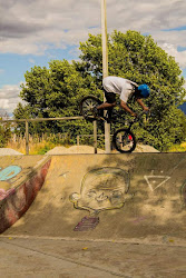 Skate Park Loncoche