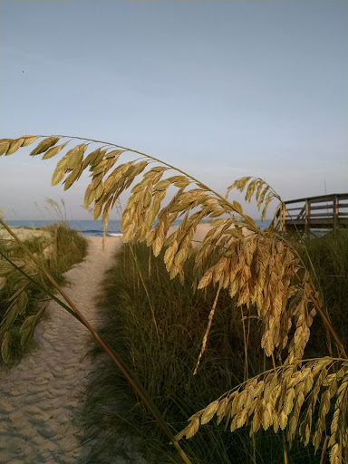 Tourist Attraction «Beach Access», reviews and photos, Alantic Ave, Pawleys Island, SC 29585, USA