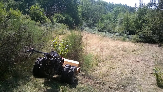 Comentarii opinii despre Diaz Paysage