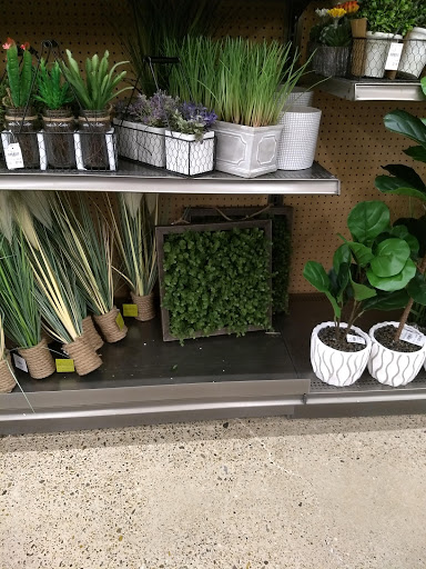 Home Goods Store «Tuesday Morning», reviews and photos, 400 E Expy 83, McAllen, TX 78503, USA