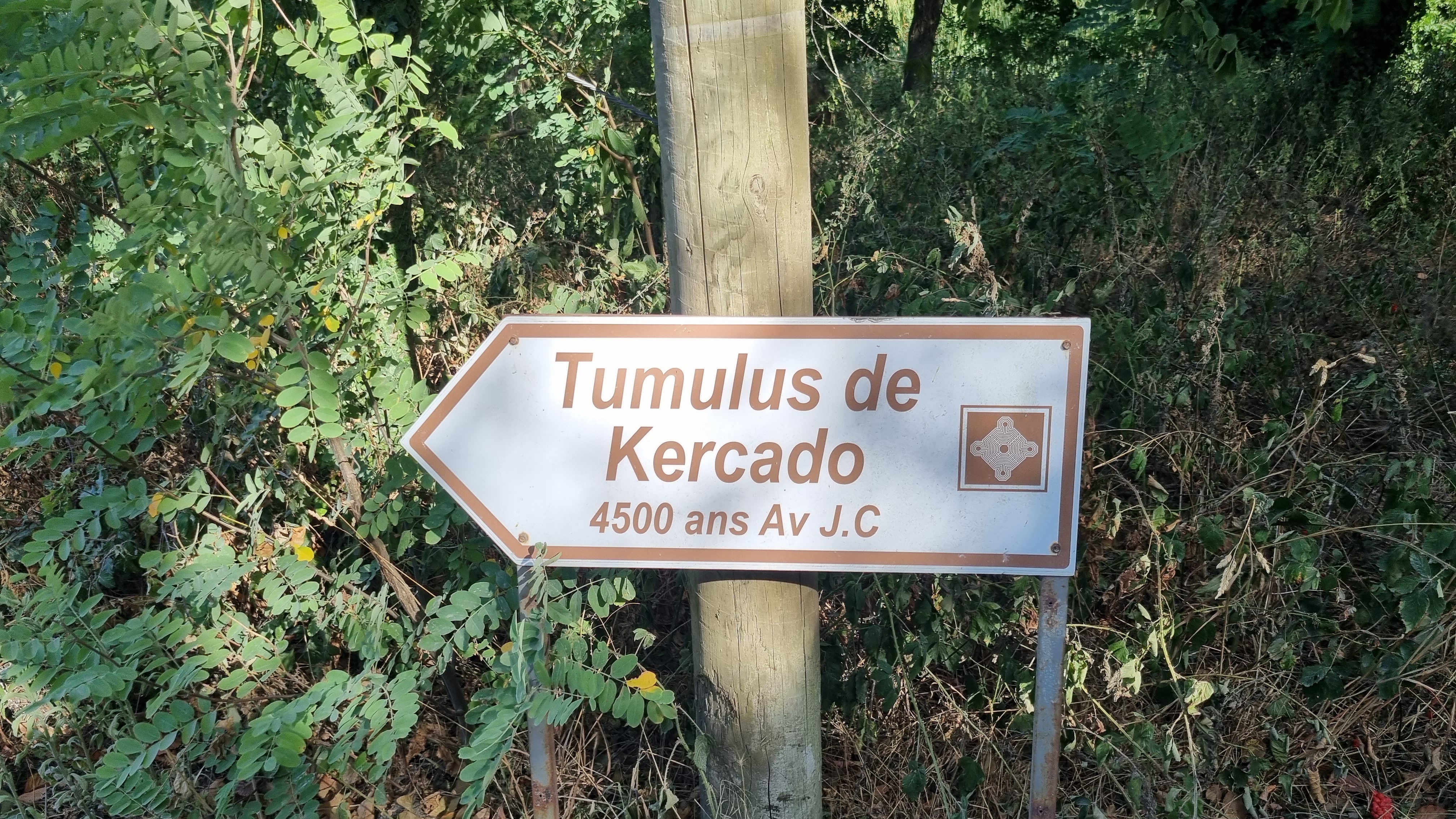 Photo n° 1 de l'avis de Robert. fait le 22/08/2022 à 17:52