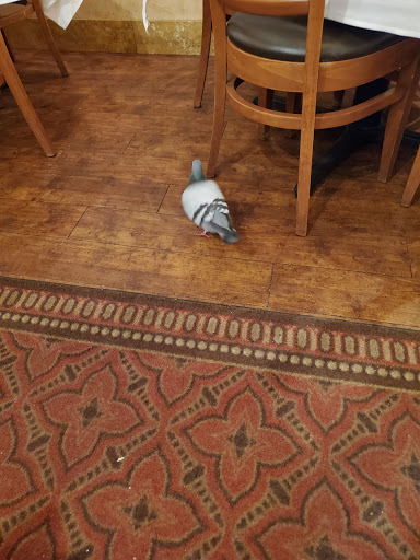 Shopping Mall «International Plaza and Bay Street», reviews and photos, 2223 N Westshore Blvd, Tampa, FL 33607, USA