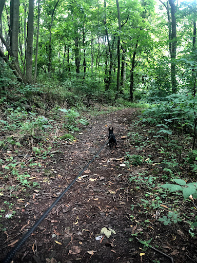 Park «Hocker Park», reviews and photos, Blue Mountain Pkwy, Harrisburg, PA 17112, USA