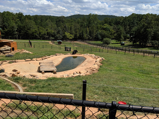 Zoo «Chestatee Wildlife Preserve & Zoo», reviews and photos, 469 Old Dahlonega Hwy, Dahlonega, GA 30533, USA