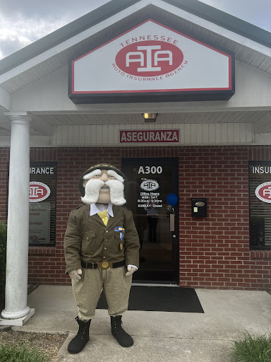 Insurance Agency «Tennessee Auto Insurance Agency», reviews and photos