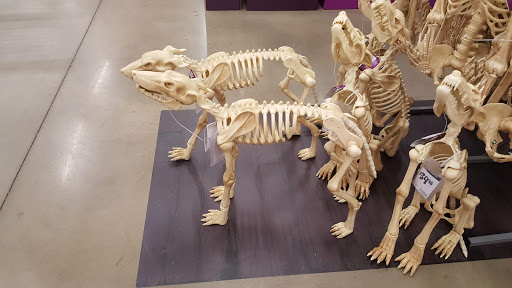 Home Improvement Store «The Home Depot», reviews and photos, 2406 Lincoln Way E, Massillon, OH 44646, USA