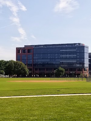 Engineering Fields - photo 7