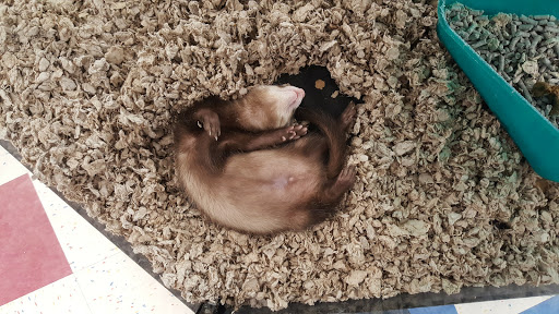 Pet Supply Store «Petco Animal Supplies», reviews and photos, 92 Cluff Crossing Rd, Salem, NH 03079, USA