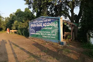 Shivvaram Wild life sanctuary image