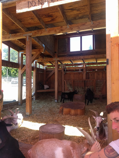Farm «The Belmont Goats», reviews and photos, 9330 SE Harold St, Portland, OR 97266, USA