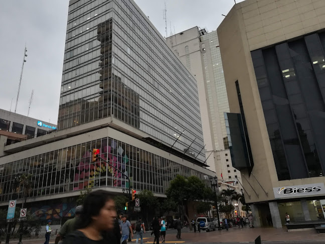 Avenida, Pedro Carbo, Guayaquil 090313, Ecuador