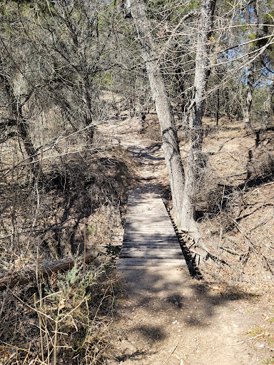 Gift Shop «Dinosaur Valley State Park Store», reviews and photos, 1629 Park Rd 59, Glen Rose, TX 76043, USA