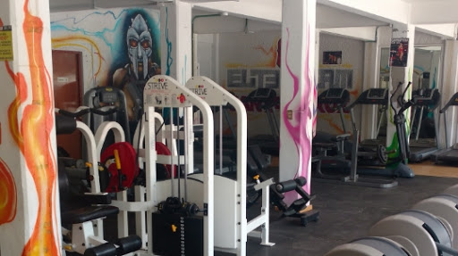 Gym Elite Team Pro Santa Cruz Acalpixca